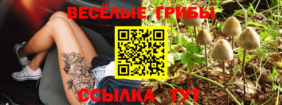 Галлюциногенные грибы прущие грибы Феодосия